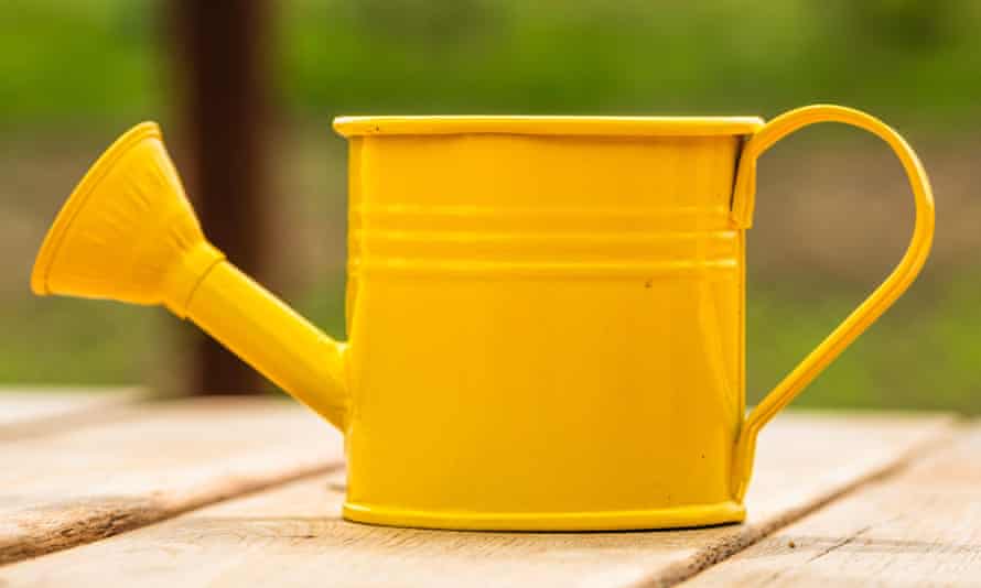 yellow steel watering can painted yellow